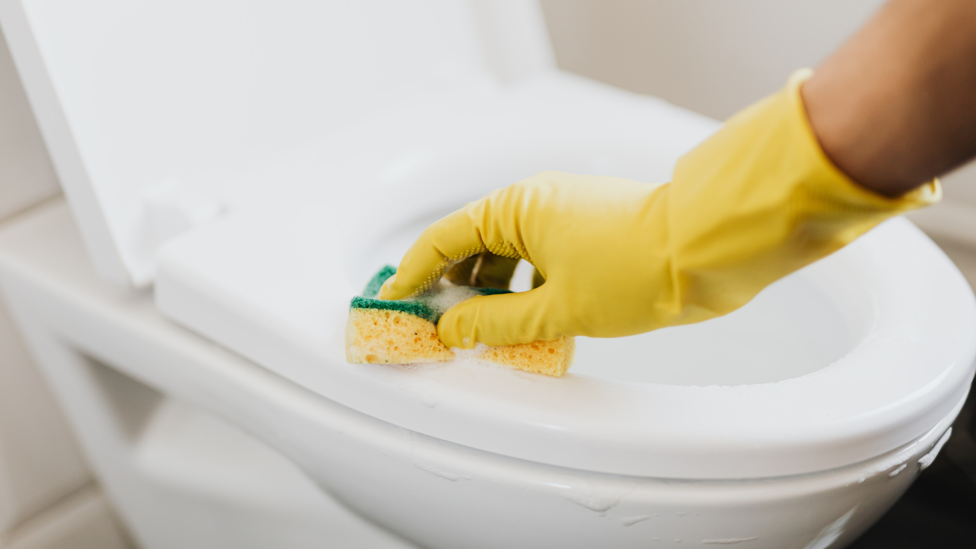 rubber gloved hand using sponge to clean toilet