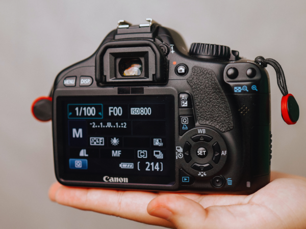 What Aperture ISO and Shutter Speed Really Mean Explained Simply for Better Photography